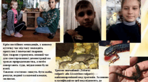 Презентація " Навчально-дослідницький проект ". 