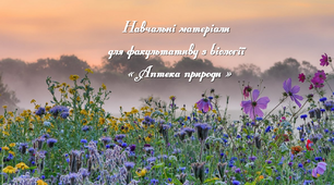 Навчальні матеріали для факультативу з біології "Аптека природи". ВСТУП
