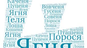 Хмара слів "Іменники ІV відміни"