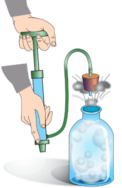 0600rism-f462-248x381.png
