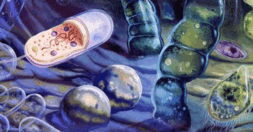 0600rkzb-c214-278x145.png