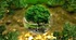 NATURE AND THE ENVIRONMENT