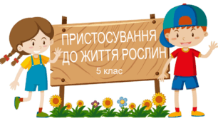 Практична робота "Голонасінні та покритонасінні. Пристосування до життя рослин". 5 клас