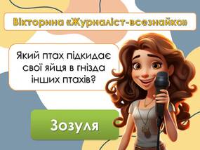 0600rqok-c8d5-285x214.jpg