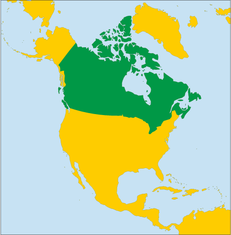 0600rqwv-405d-469x478.png