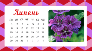 Робочий аркуш на тему "Місяці - ЛИПЕНЬ"