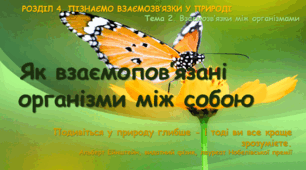 Як взаємопов’язані організми між собою