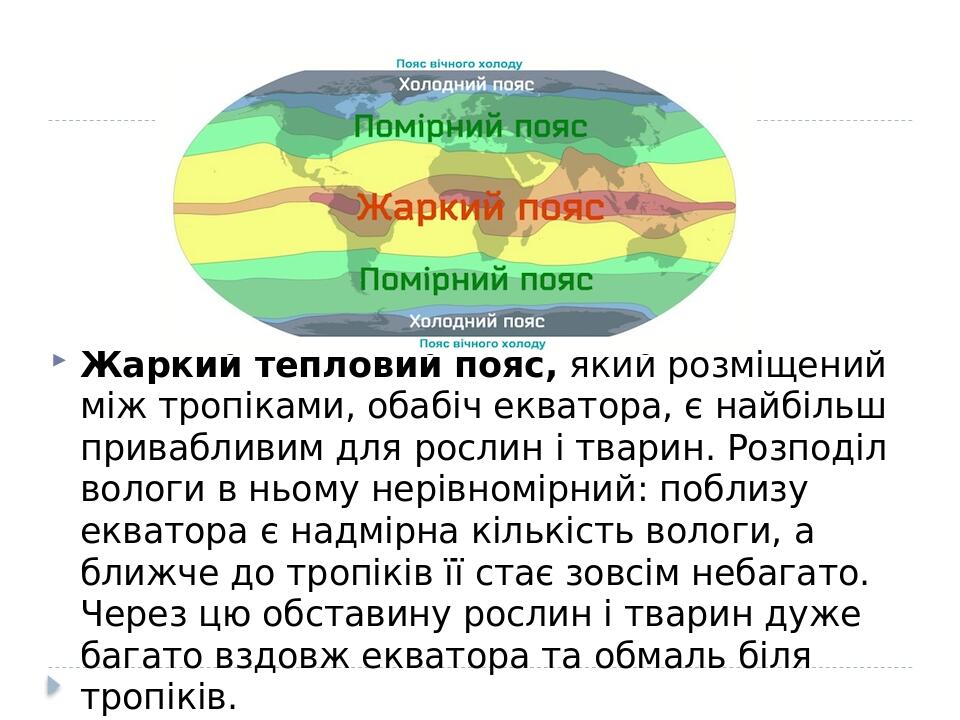 Жаркий тепловий пояс, який розміщений між тропіками, обабіч екватора, є найбільш привабливим для рослин і тварин. Розподіл вологи в ньому нерівномі...