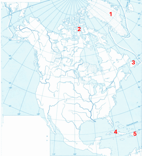 0600sfg2-7fb3-455x502.png