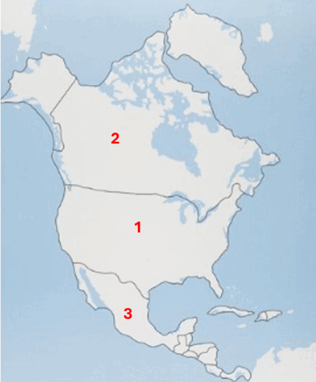 0600sgnn-f3c4-454x550.png