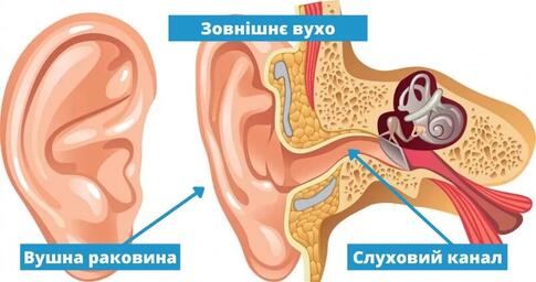 Зовнішній отит | симптоми, діагностика, сучасне лікування у Львові