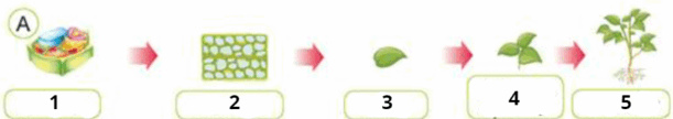 0600smv4-2ad3-611x108.png