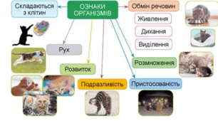 Які особливості будови різних груп організмів 5 клас