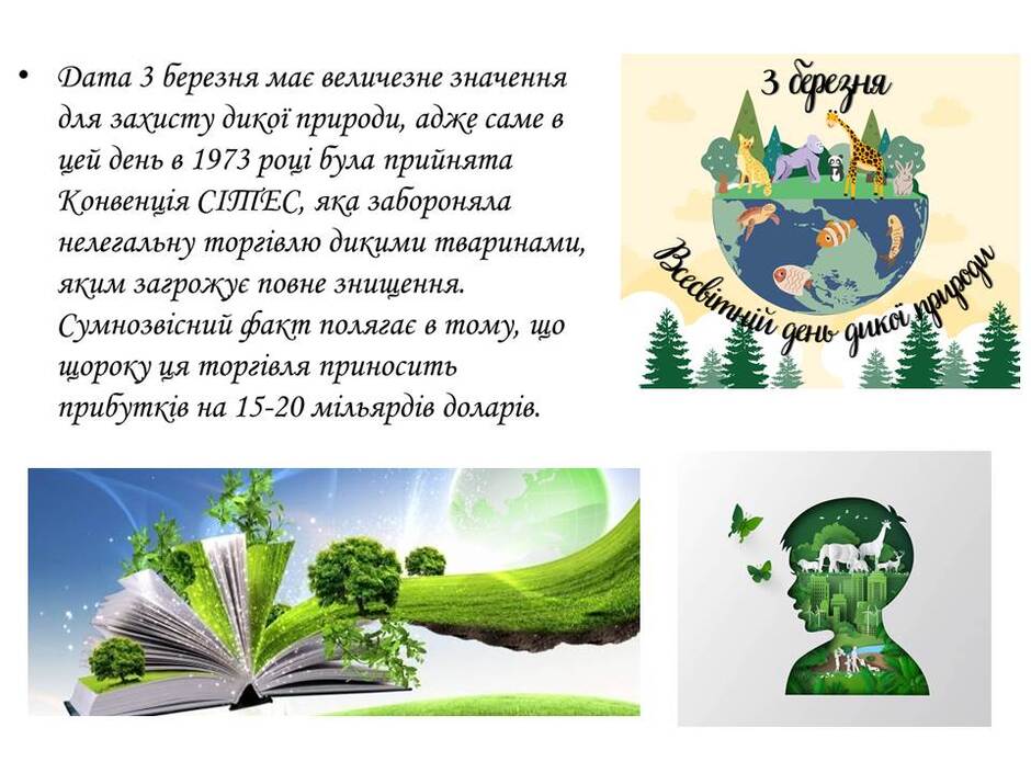 0600so13-3798-940x705.jpg