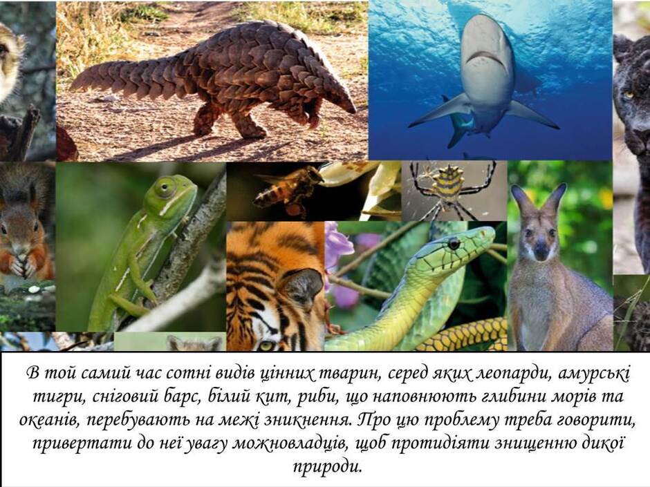 0600so1g-a01b-940x705.jpg