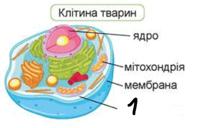 0600soor-4816-411x265.png