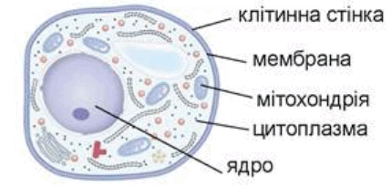 0600sp40-b8c7-430x205.png