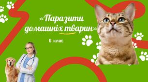Презентація «Паразити домашніх тварин», 6 клас