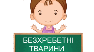 Практична робота "Безхребетні тварини". 5 клас