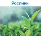 0600sxc0-f1a9-133x118.png