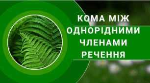 Урок "Кома між однорідними членами речення"
