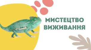 Презентація на тему: "Що таке мистецтво виживання. Значення пристосувань.Адаптації тварин тарослин"