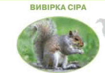 0600t2vu-9dcb-257x178.png