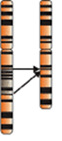 0600t59b-ffe3-89x201.png