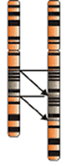 0600t59s-20ee-98x234.png