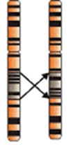 0600t5a5-d30d-98x211.png