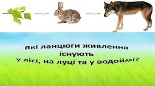 Практична робота «Складання ланцюгів живлення водойми, парку, лісу, поля, грядки