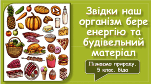 Звідки наш організм бере енергію та будівельний матеріал