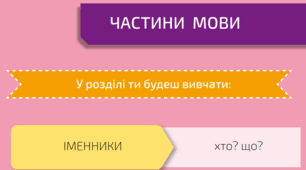 (Копія) Діагностувальна робота по темі "Іменник"