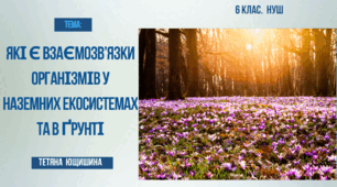 Презентація. 6 клас. Які є взаємозв'язки організмів у наземних екосистемах і в ґрунті.