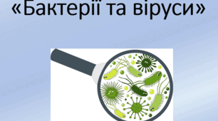 Ребуси до теми "Бактерії та віруси"