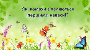 Які комахи з'являються першими навесні