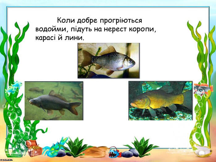 Презентація "Як змінюється життя у водоймах навесні"
