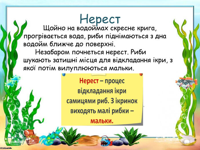 Презентація "Як змінюється життя у водоймах навесні"