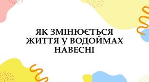Як змінюється життя у водоймах навесні