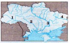 0600tt7y-9046-225x140.png