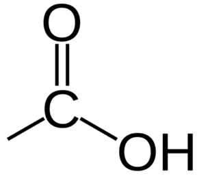 0600tuno-f9e2-288x258.png