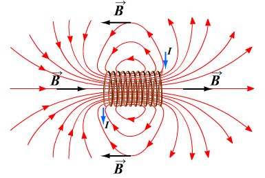 0600tylp-1a3d-385x258.png