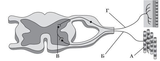 0600u0gk-5804-562x213.jpg