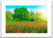 0600u11h-e367-178x129.png