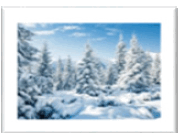 0600u123-2b55-178x133.png