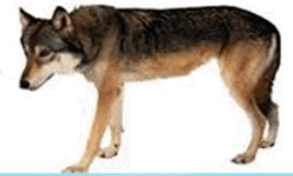 0600u5wx-a1b7-268x161.png