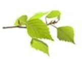 0600u5xl-97c8-161x117.png