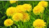 0600u6d6-813a-160x92.png