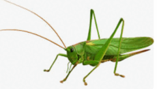 0600u6dx-4be6-230x130.png