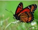 0600u6ei-b115-132x104.png